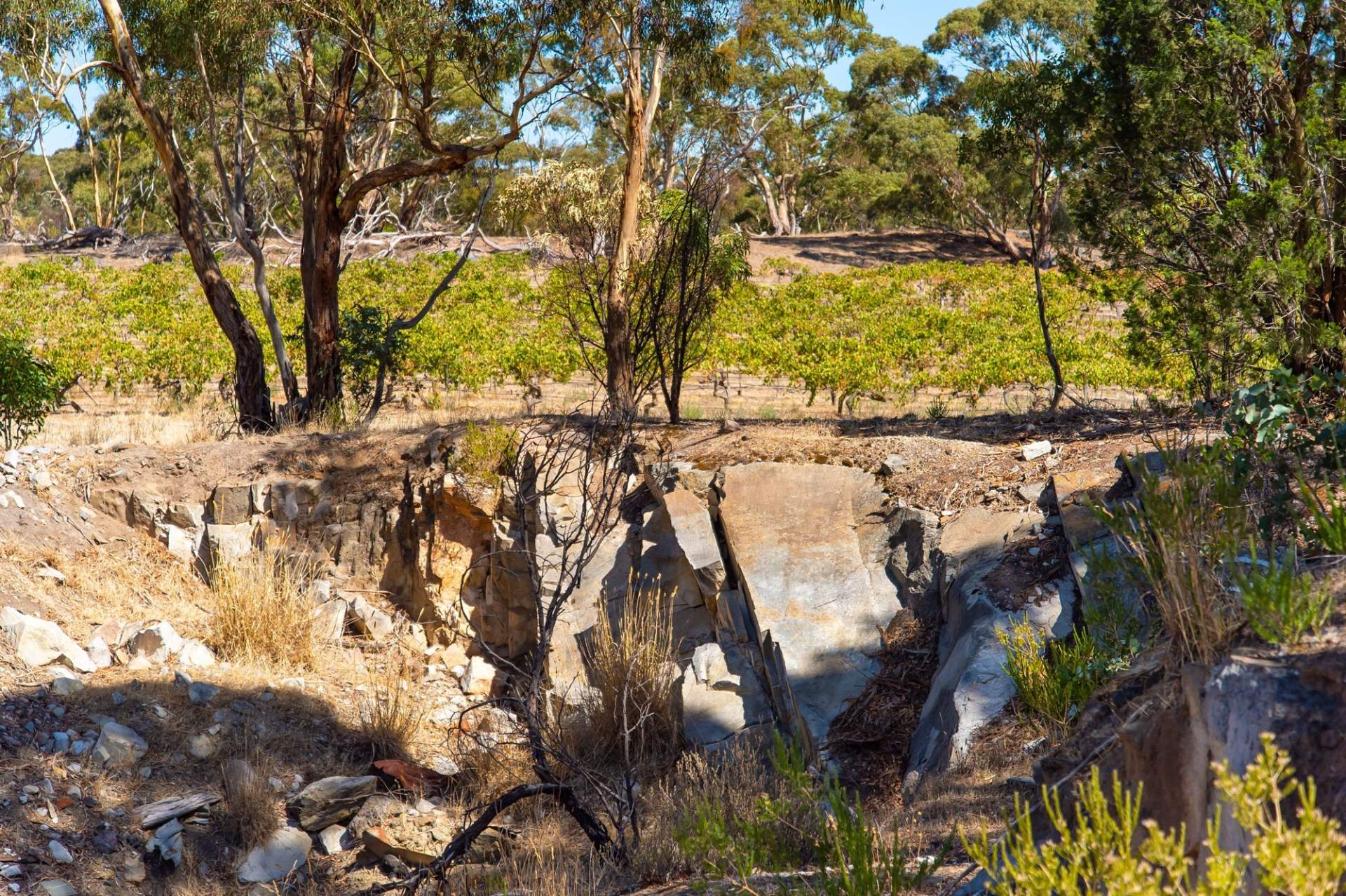 Clare valley rocks