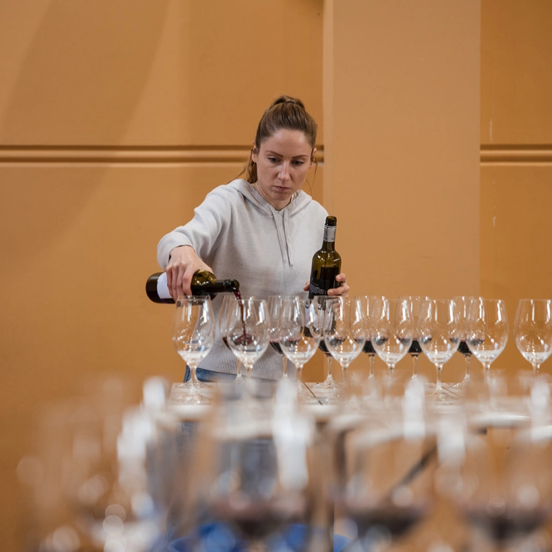 Grape and Wine 2025 Judging 5345