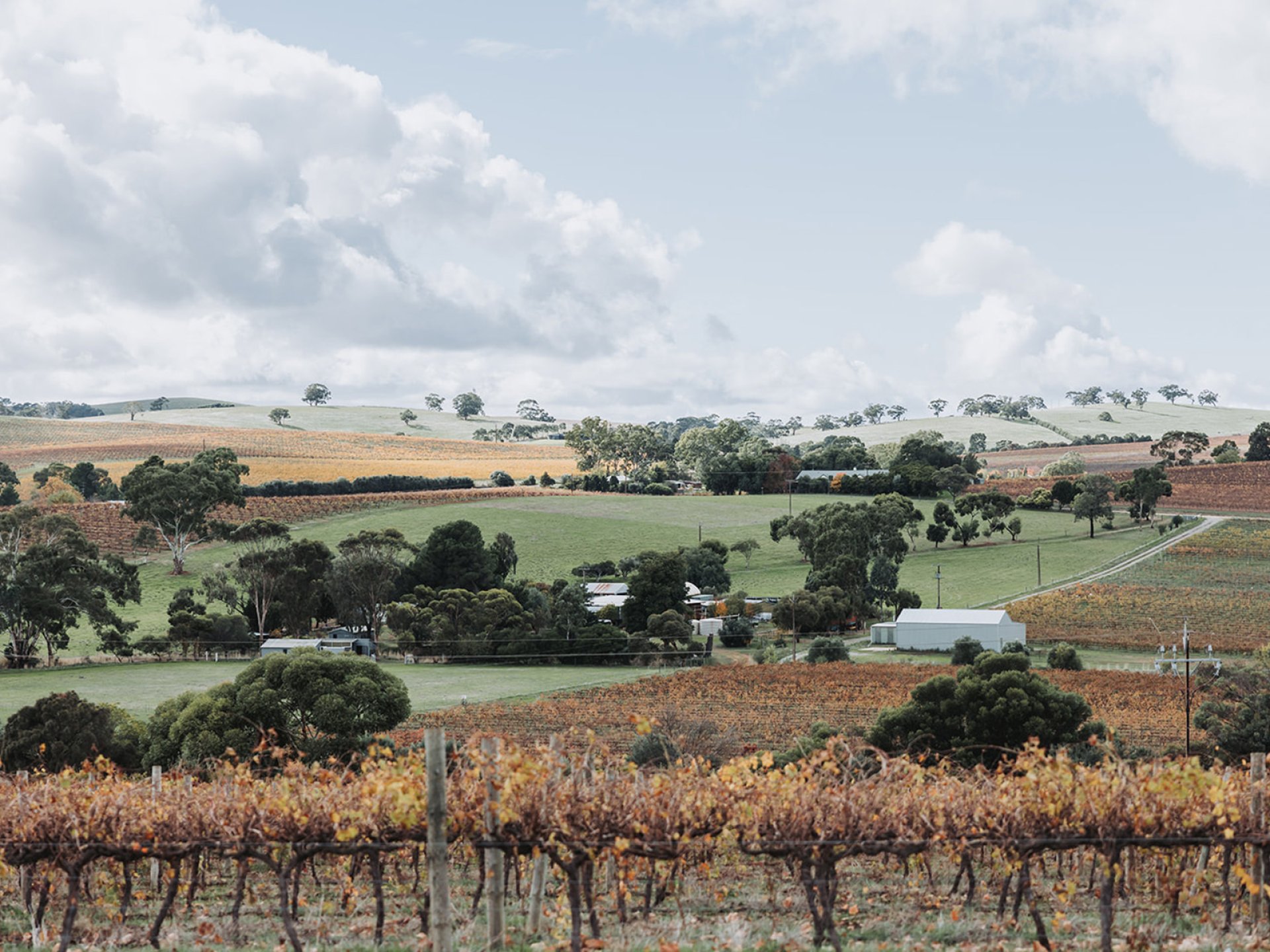 Hall of Fame O Leary Walker Wines View