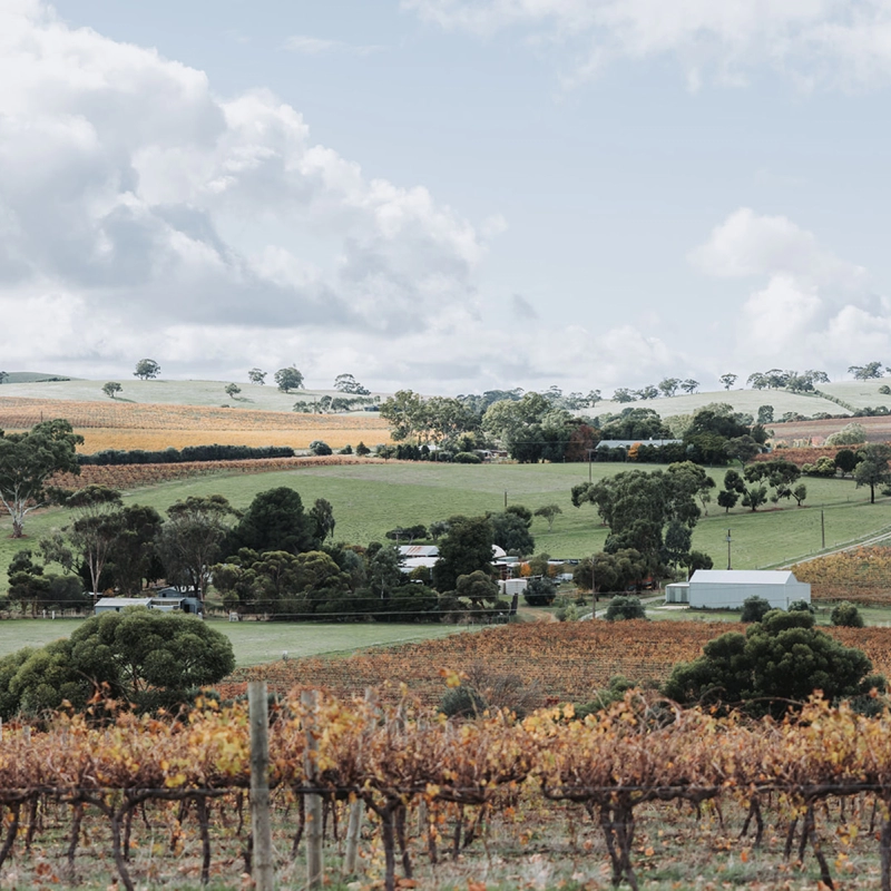 Hall of Fame O Leary Walker Wines View