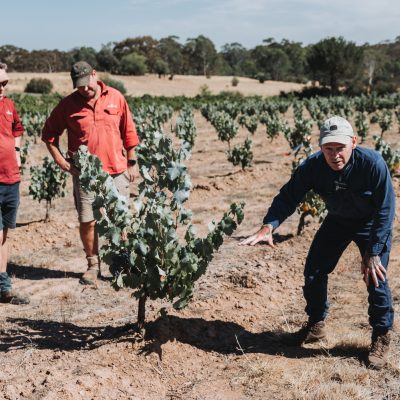 Wine Walk 2025 7160